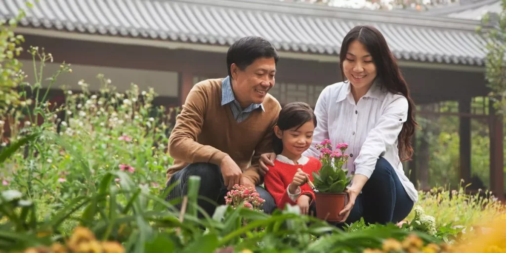 What Are the Best Tips for Designing a Family-Friendly Garden? What Are the Best Tips for Designing a Family-Friendly Garden?