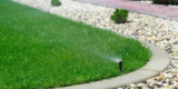 What Are the Best Practices for Watering Your Lawn?