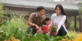 What Are the Best Tips for Designing a Family-Friendly Garden?